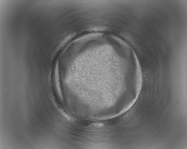 X0000056380159200509232234