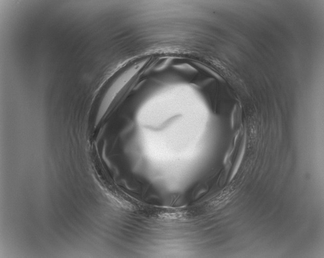 X0000056380160200509232234