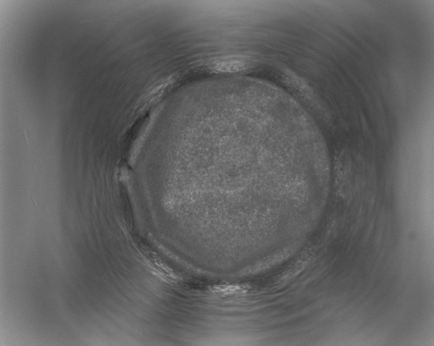 X0000056380161200509232234