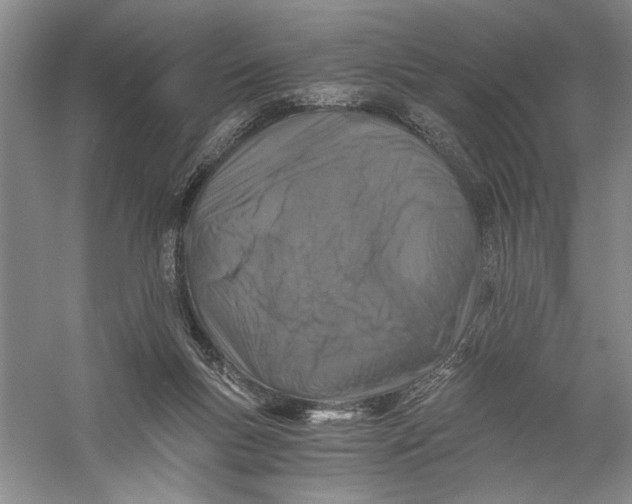 X0000056380167200509232234