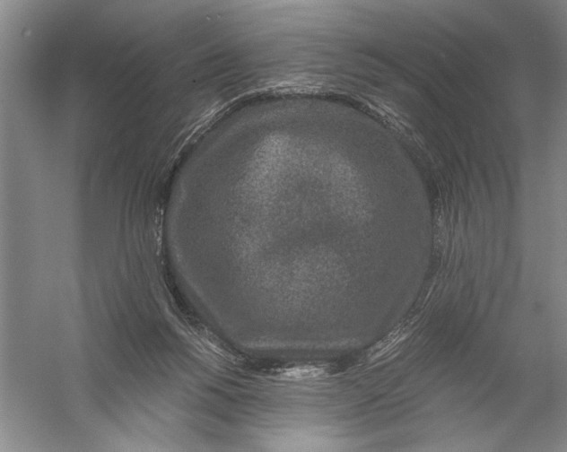 X0000056380168200509232234