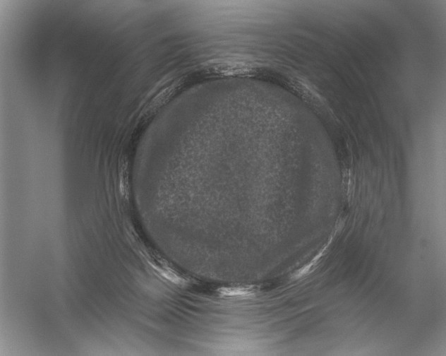 X0000056380170200509232234