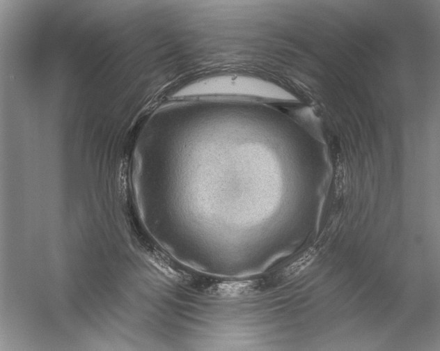 X0000056380172200509232234