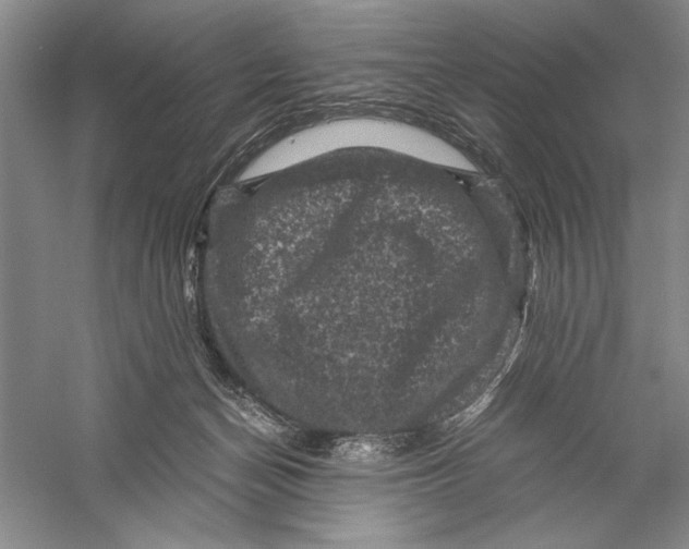 X0000056380174200509232234