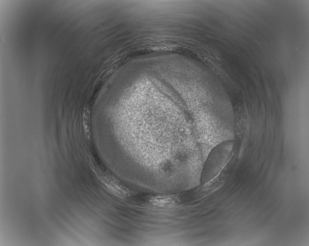 X0000056380175200509232234