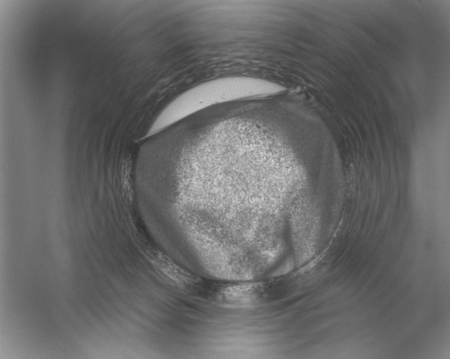 X0000056380178200509232234