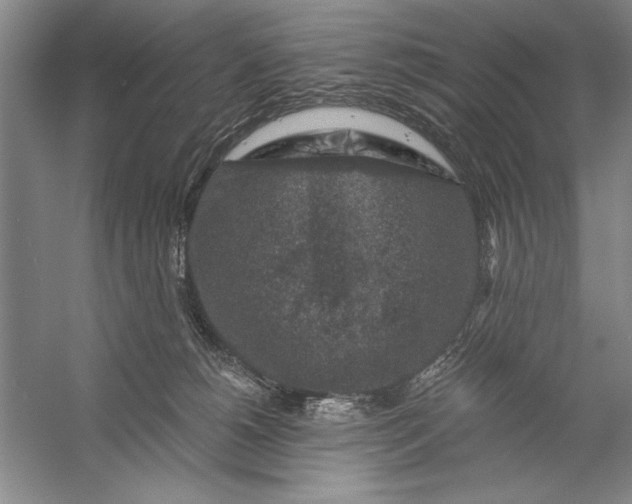 X0000056380180200509232234