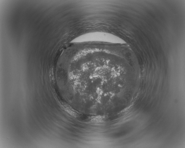 X0000056380182200509232234