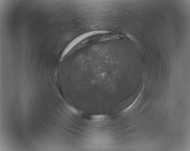 X0000056380192200509232234