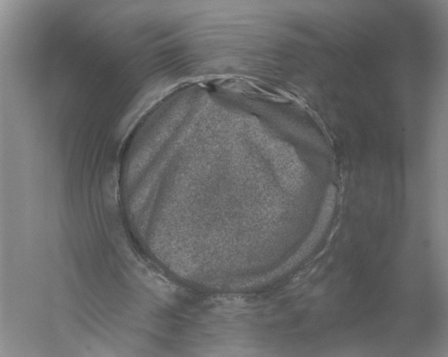 X0000056380194200509232233