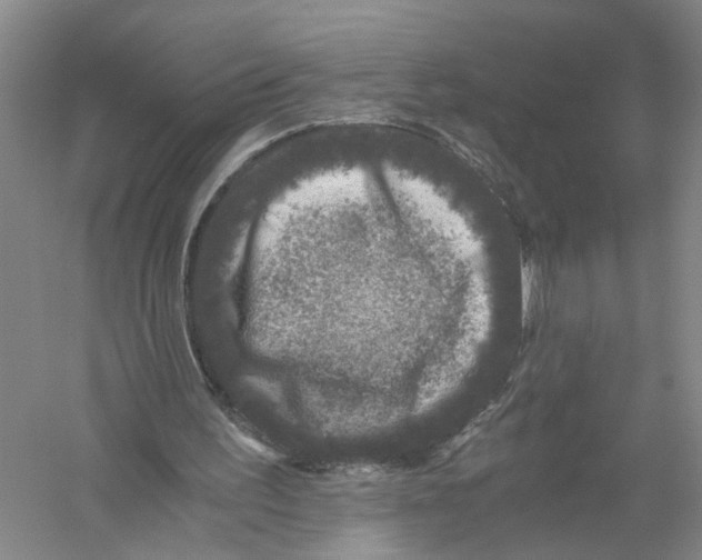 X0000056380195200509232233