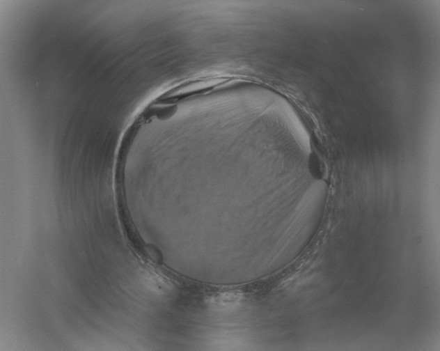 X0000056380196200509232233