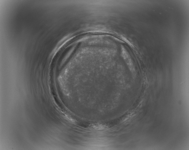 X0000056380199200509232233