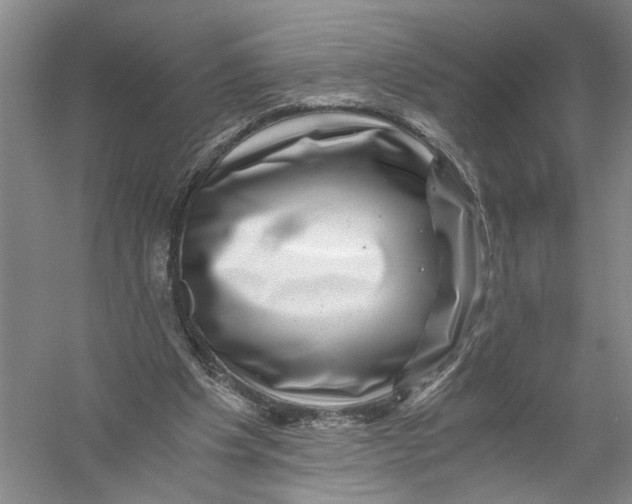 X0000056380201200509232233