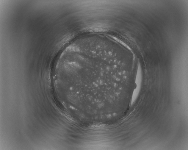 X0000056380202200509232233