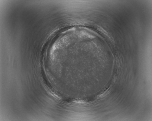 X0000056380203200509232233