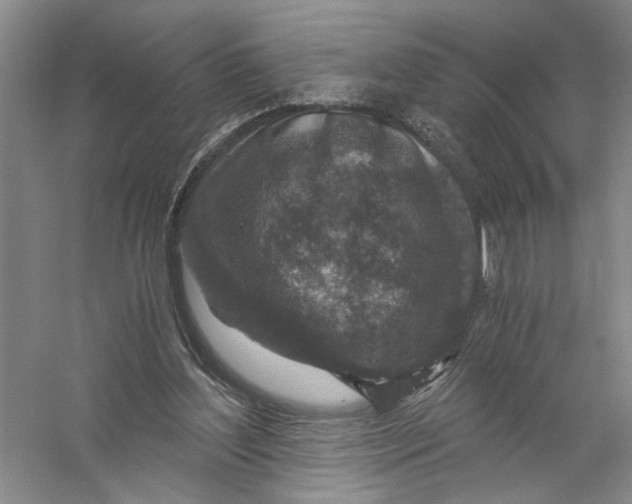 X0000056380204200509232233