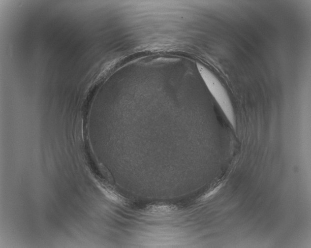 X0000056380205200509232233