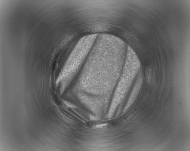 X0000056380206200509232233