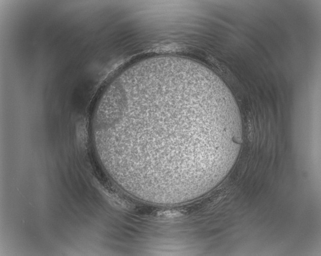 X0000056380208200509232233