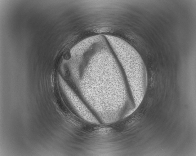 X0000056380210200509232233