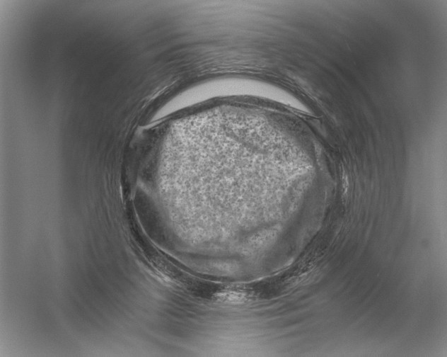 X0000056380211200509232233