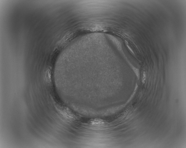 X0000056380214200509232233