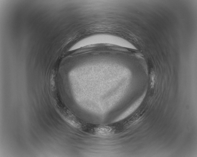 X0000056380215200509232233