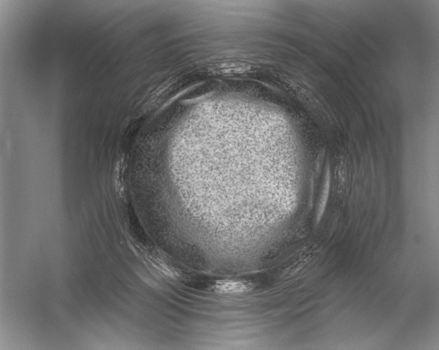 X0000056380218200509232233