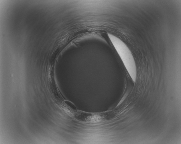 X0000056380219200509232233