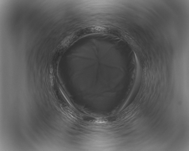 X0000056380223200509232233