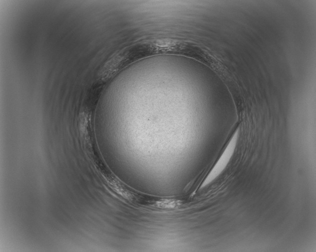 X0000056380225200509232233