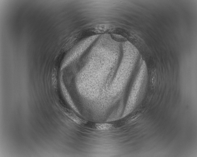 X0000056380226200509232233