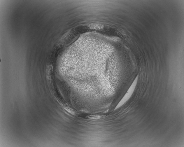 X0000056380229200509232233