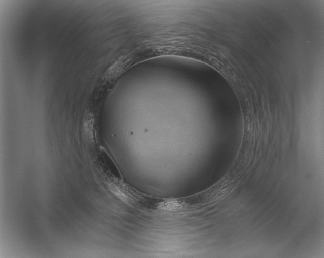 X0000056380231200509232233