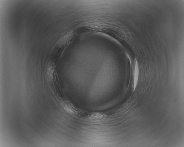 X0000056380235200509232233