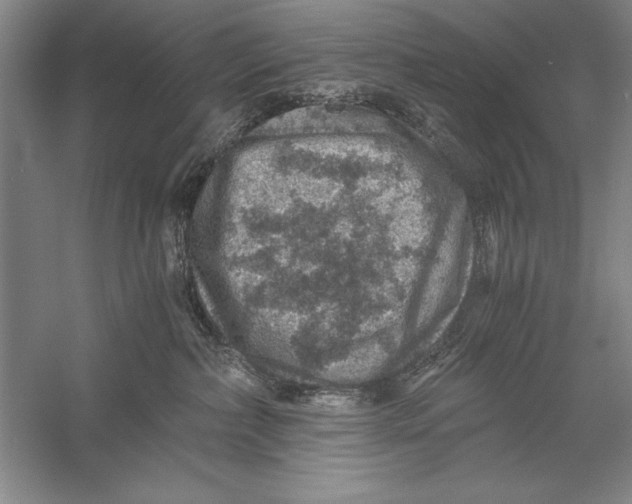 X0000056380236200509232233