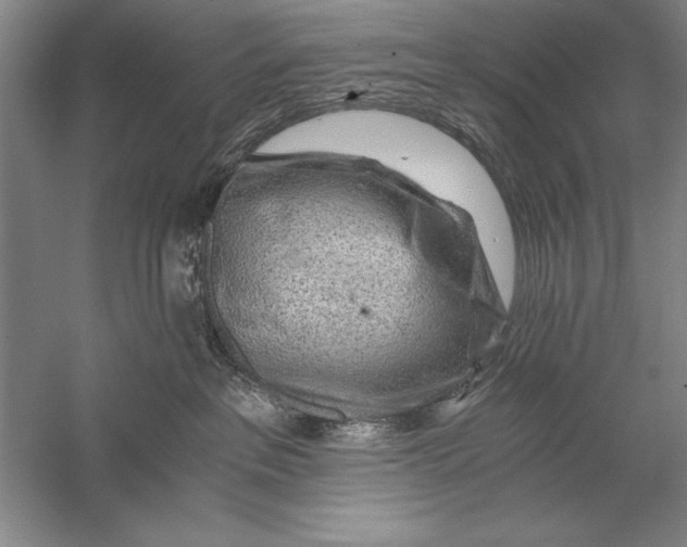 X0000056380237200509232233