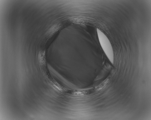 X0000056380239200509232233