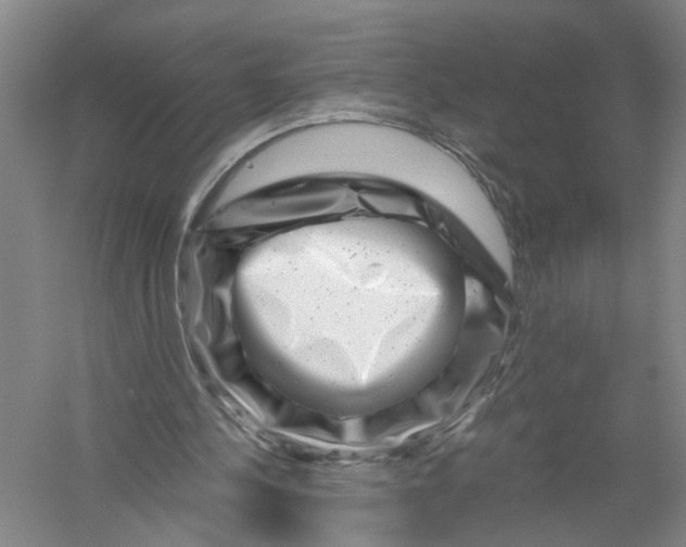 X0000056380244200509232232