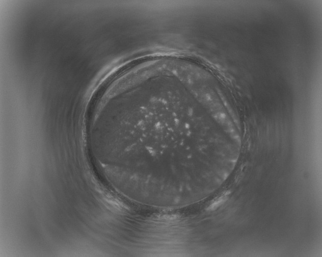 X0000056380247200509232232