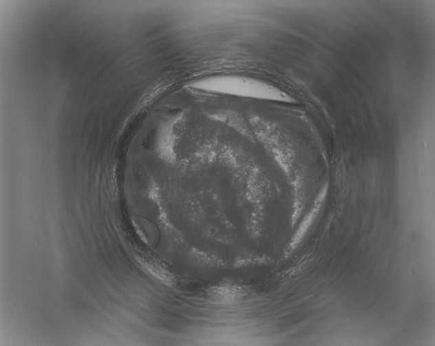 X0000056380250200509232232