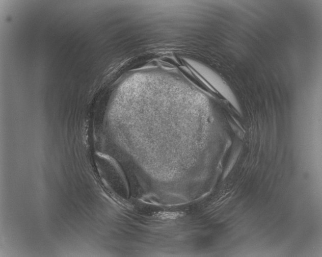 X0000056380255200509232232