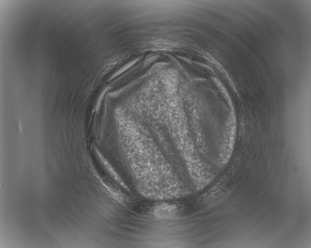 X0000056380257200509232232