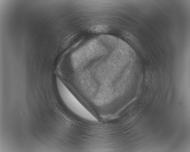 X0000056380259200509232232