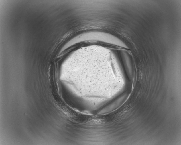 X0000056380260200509232232