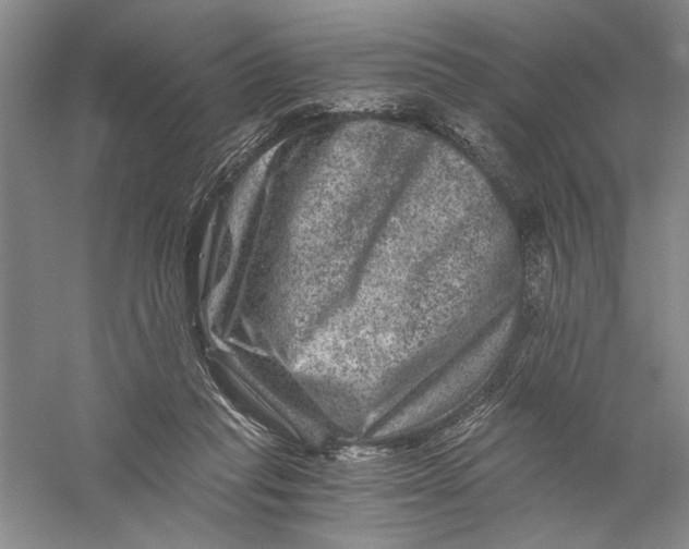 X0000056380261200509232232