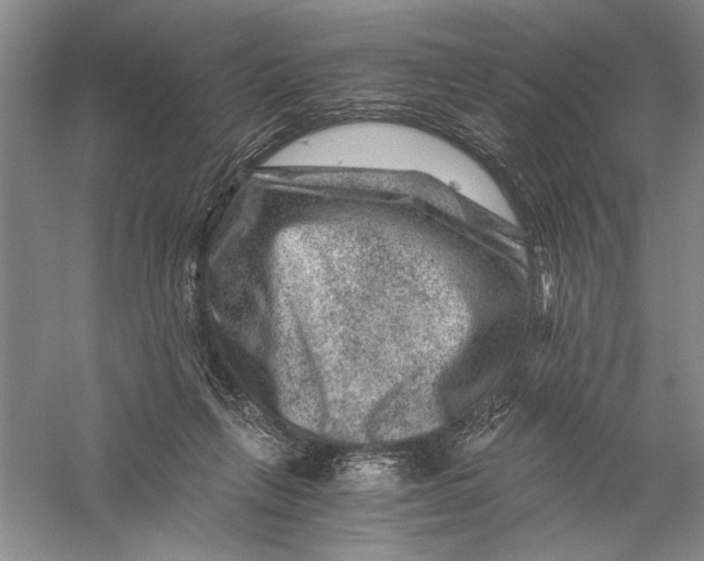 X0000056380263200509232232