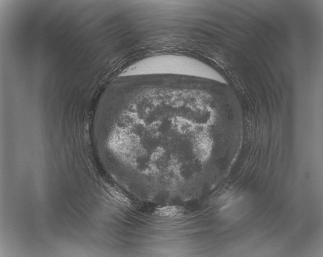 X0000056380269200509232232