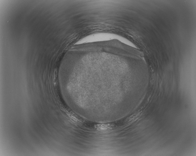 X0000056380273200509232232